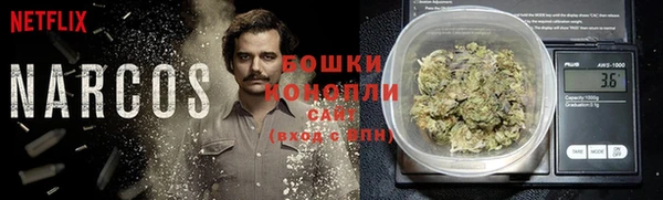 крисы Бронницы