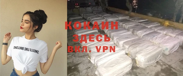 крисы Бронницы
