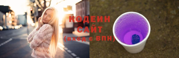 крисы Бронницы