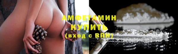 крисы Бронницы