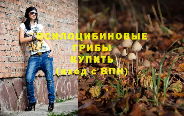 крисы Бронницы