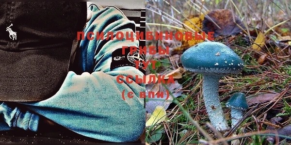 крисы Бронницы