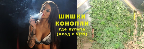 крисы Бронницы