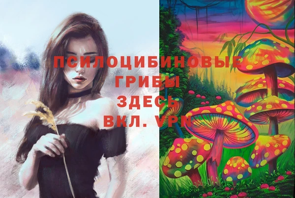 марки nbome Бородино